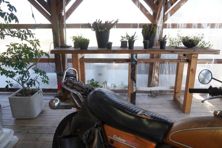 カフェテラスにはさまざまな植物が