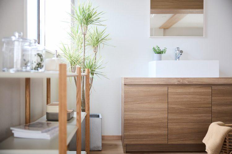 使いやすい小物類や植物が揃う