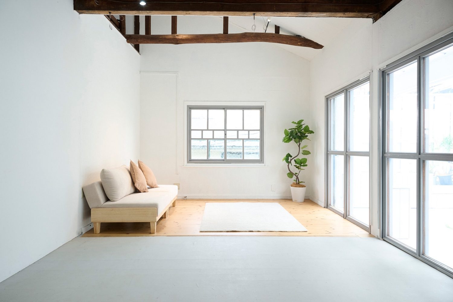 大きな窓枠と高い天井