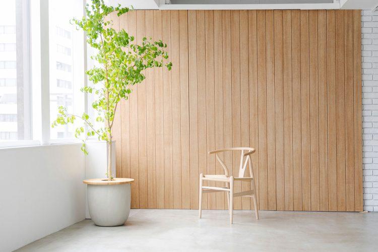 南側 / 木目調の可動壁