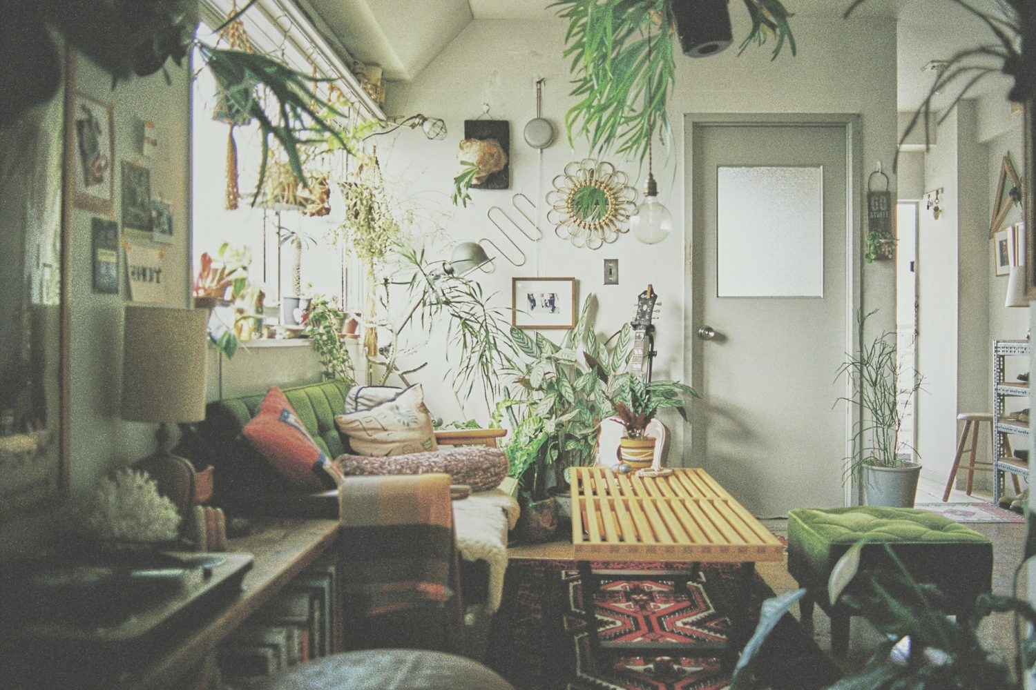 植物が豊富なリビングスペース