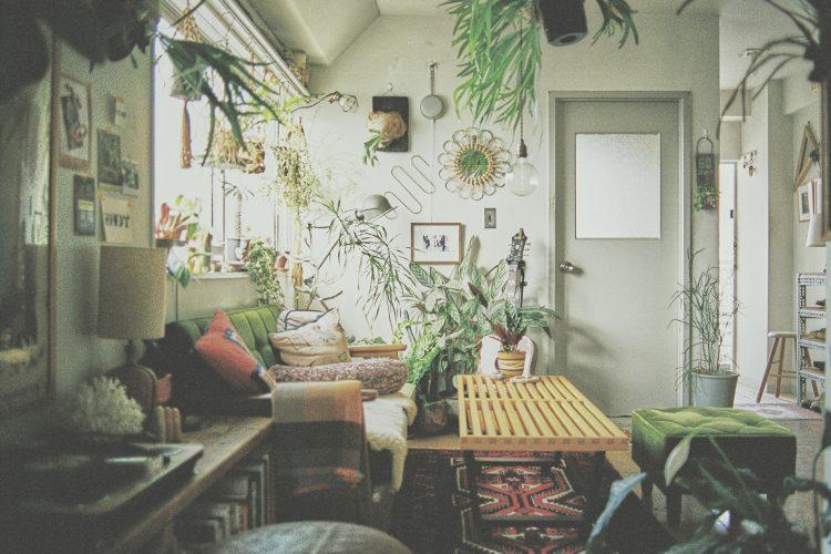 植物が豊富なリビングスペース