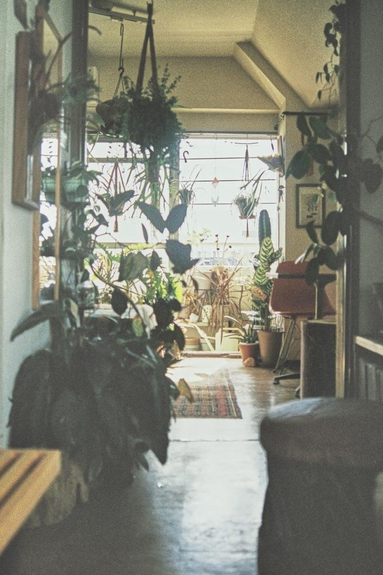 リビングからベランダを見た風景