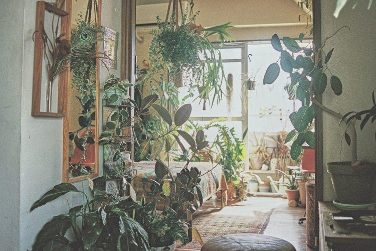 植物越しに見えるベッドルーム