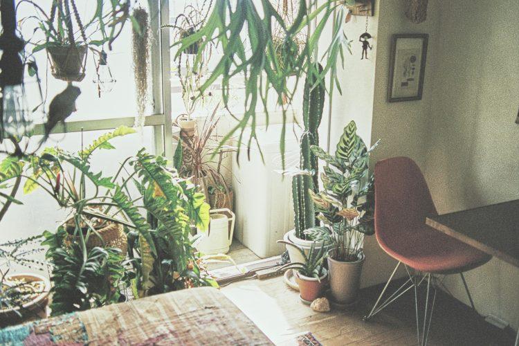 ベッド脇のワンシーン