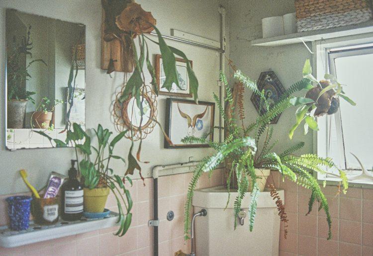 光の差すバスルーム