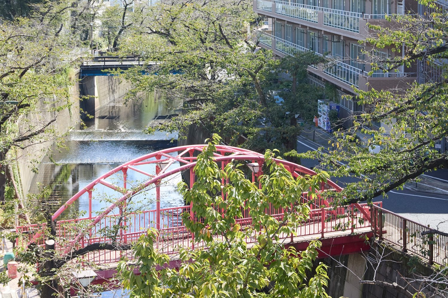 窓からは目黒川の景色