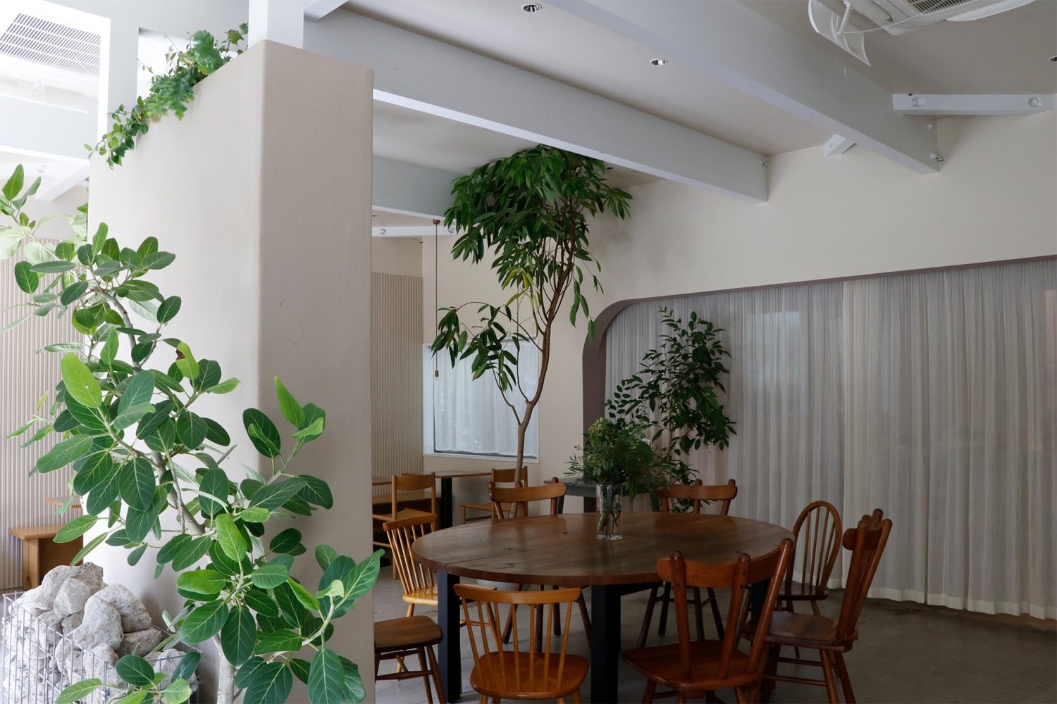 たくさんの屋内植物