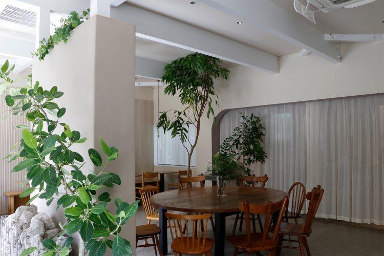 たくさんの屋内植物