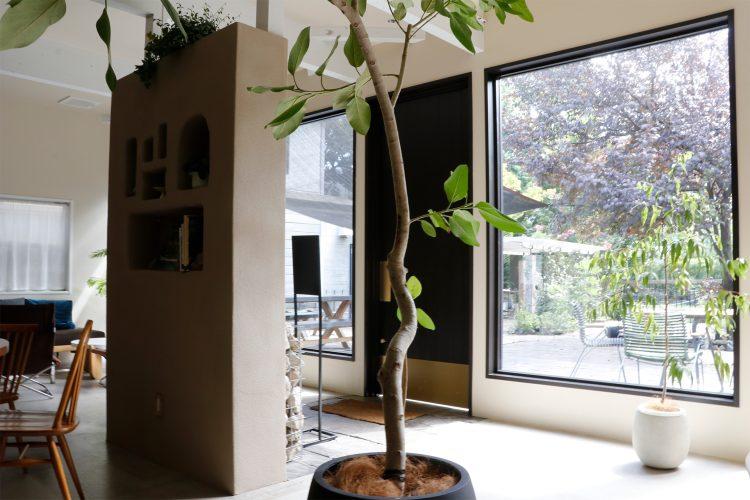 窓から見えるガーデン