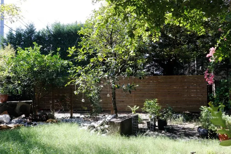 芝生での撮影も可能