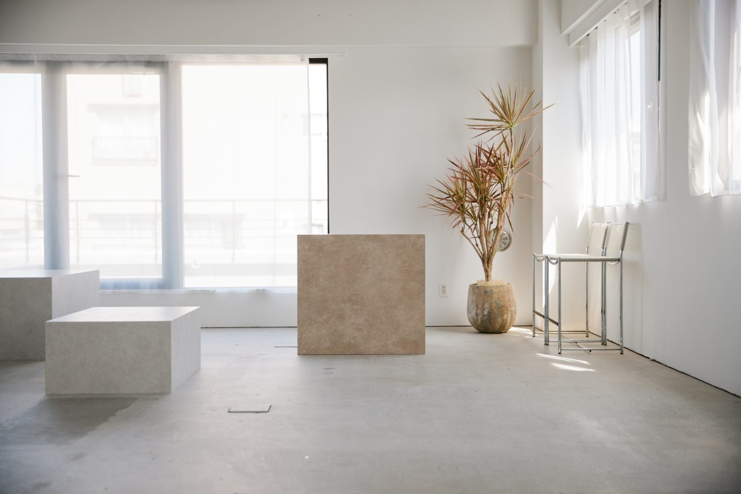 大きな窓から差し込む自然光