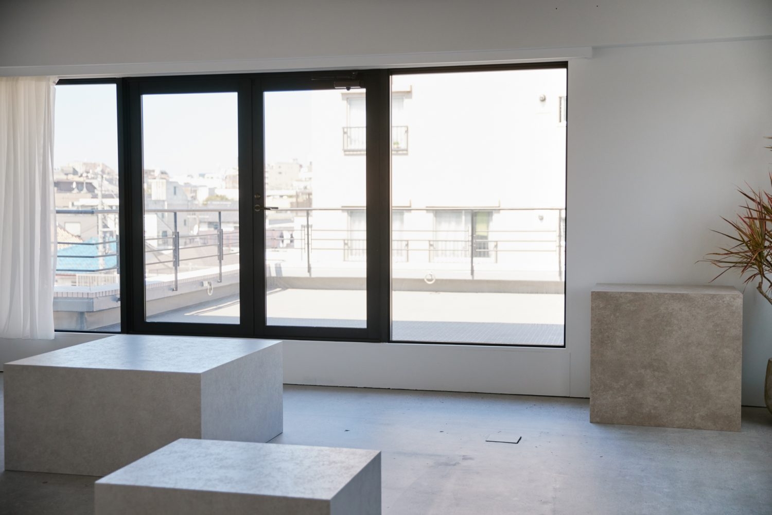 カーテンを開けて直射での撮影も