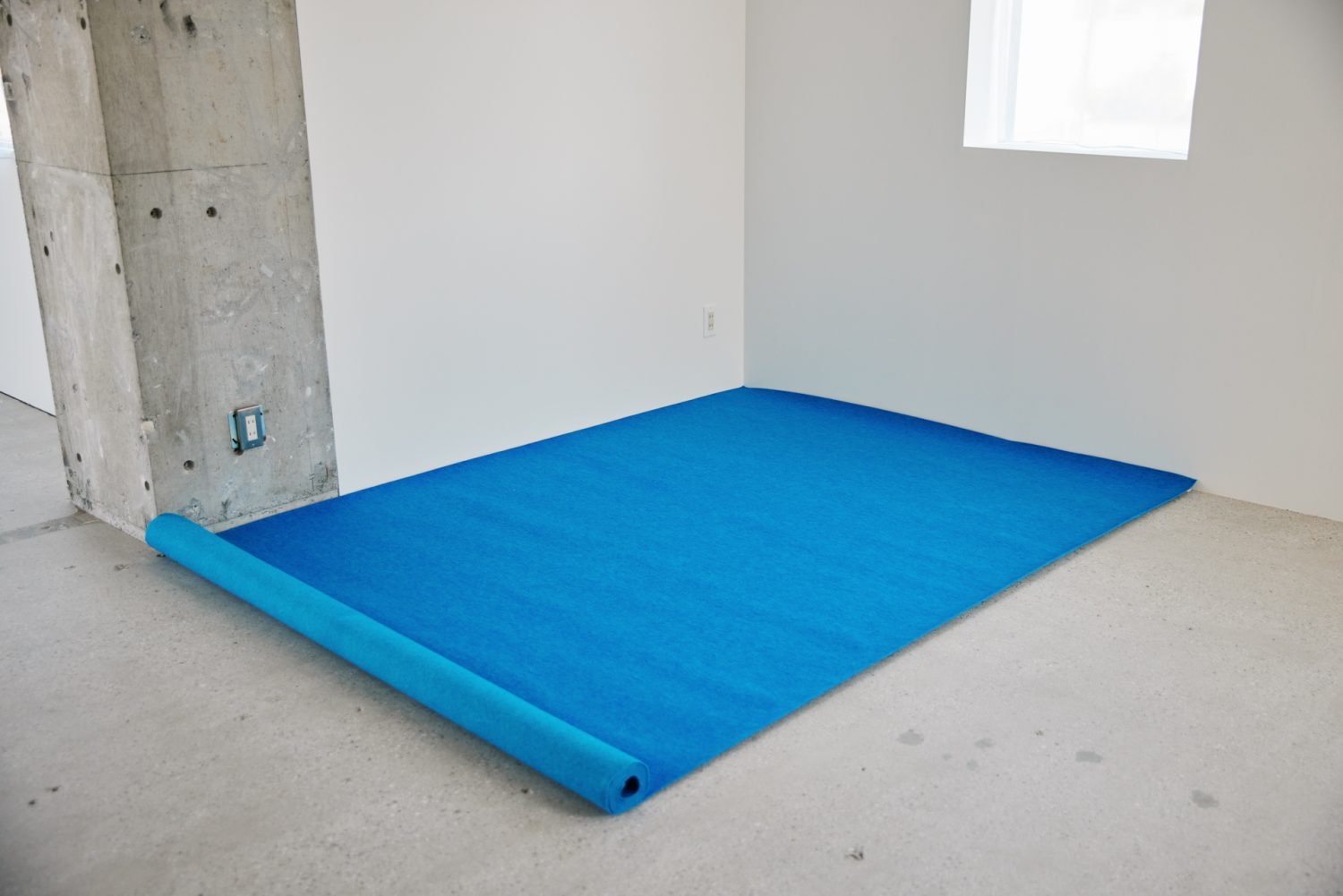 カラーカーペット(レッドもあり)