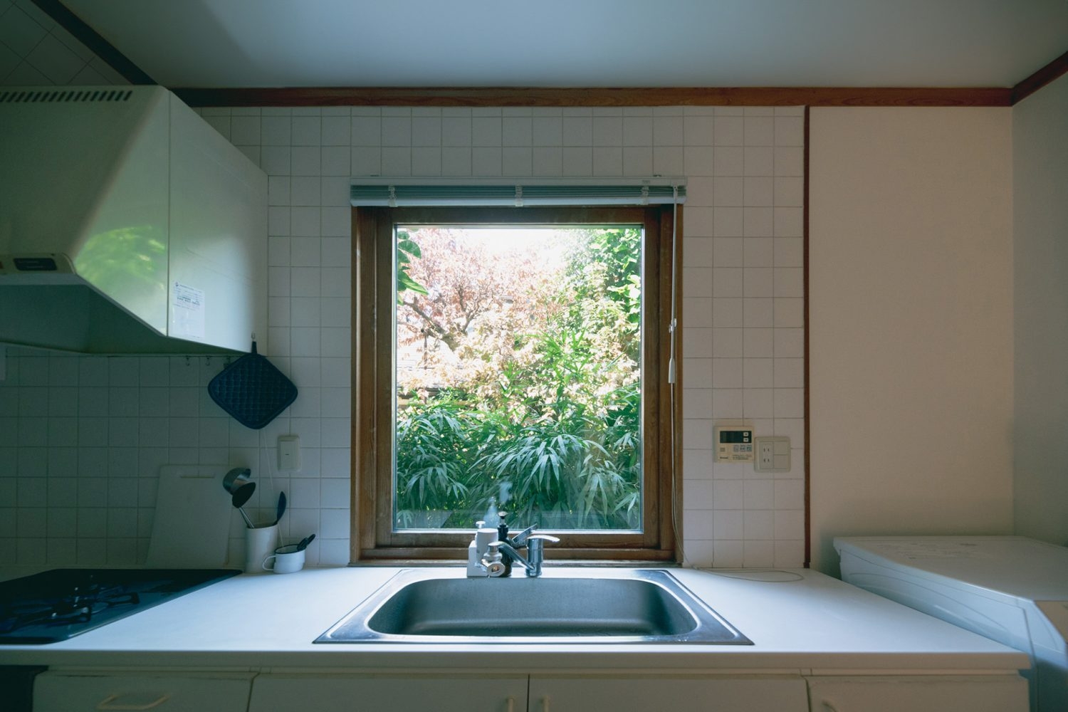 窓の外の緑が心地よいキッチン