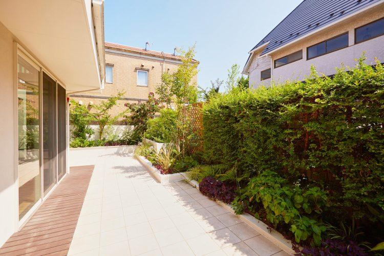 南向きの窓と庭