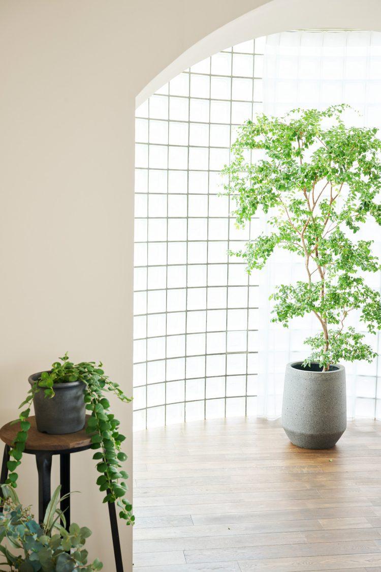 wood floor アーチ壁越しのブロックガラスアール壁