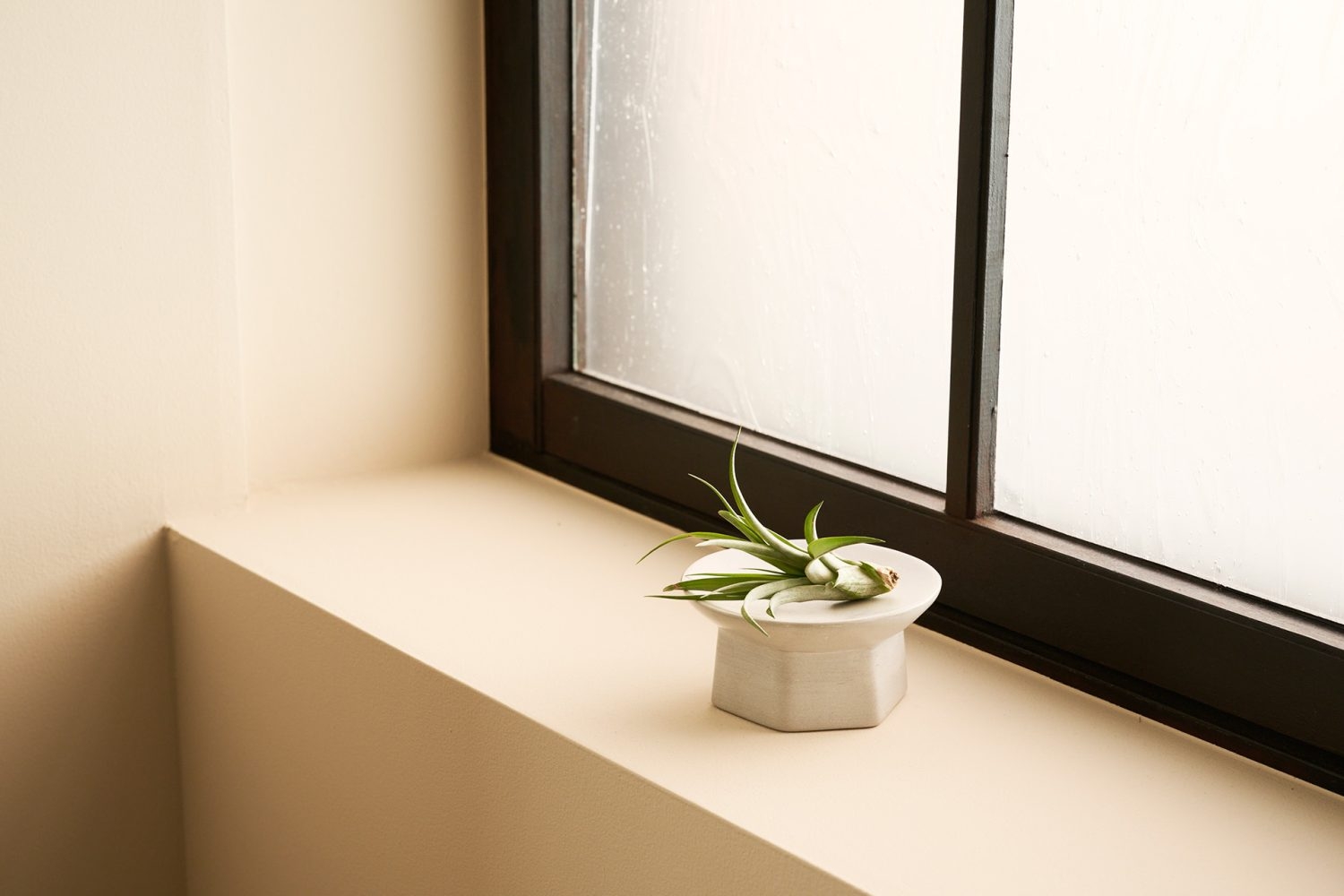 出窓になっているため窓際に物を置いて撮影も可能