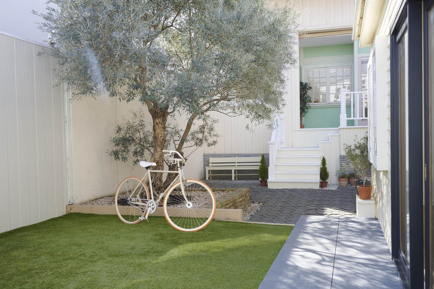 シンボルツリーのオリーブとエントランスの階段 ガーデン