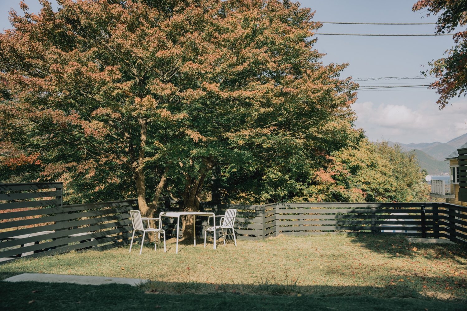 自然を近くで感じられる芝のドッグランスペース