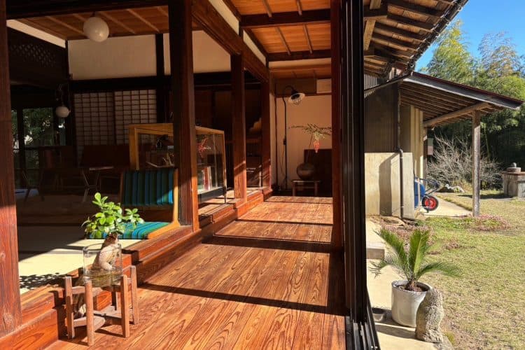 自然光降り注ぐ幅広の縁側で動きのある撮影も