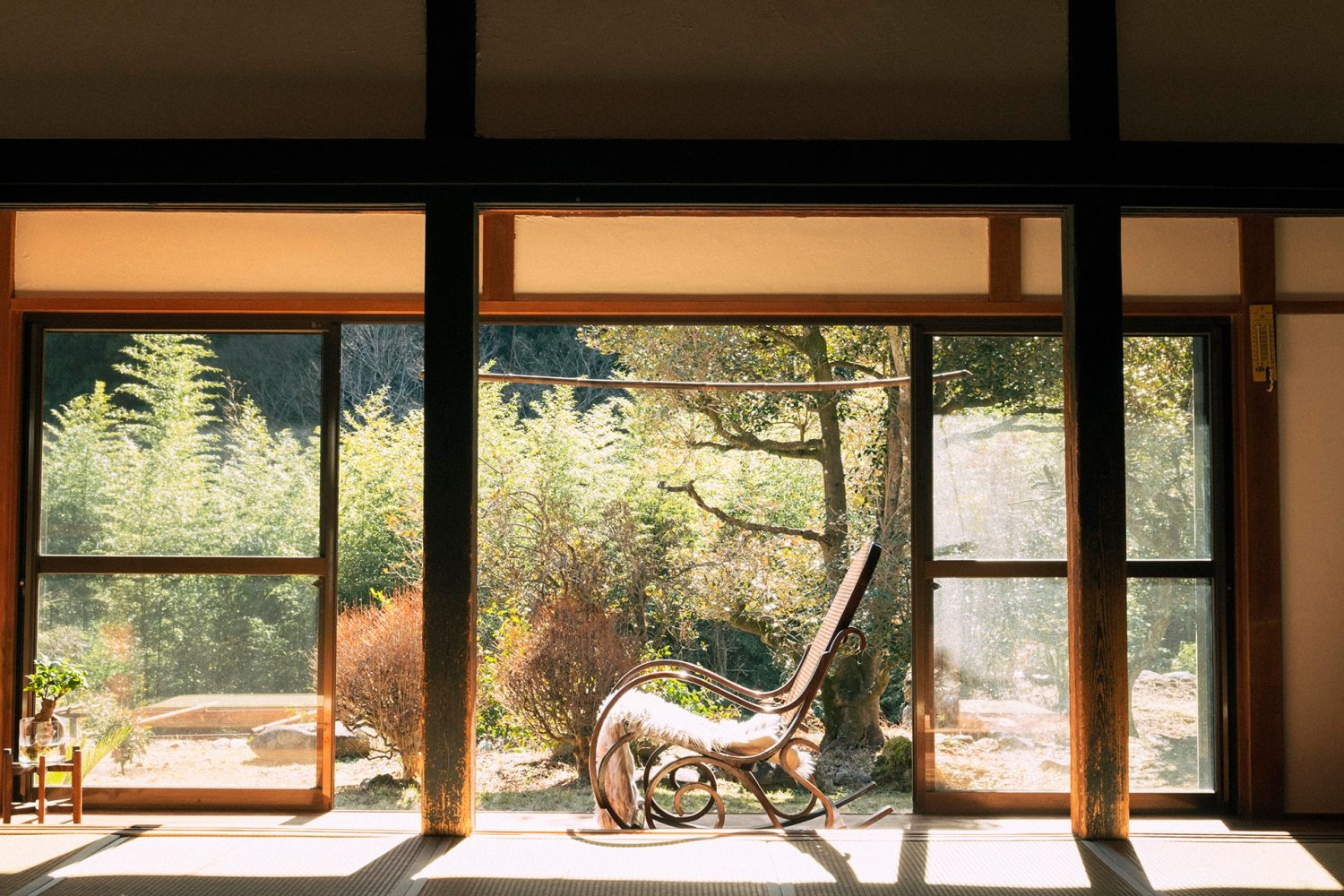 縁側から見える緑