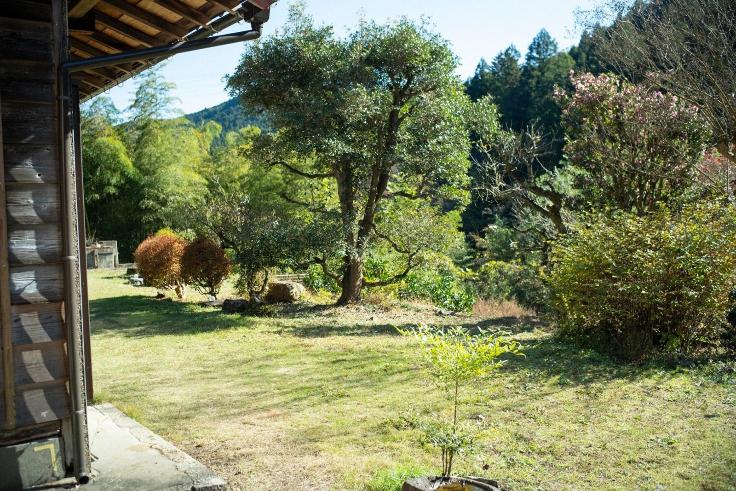 四季折々の景色が楽しめる庭