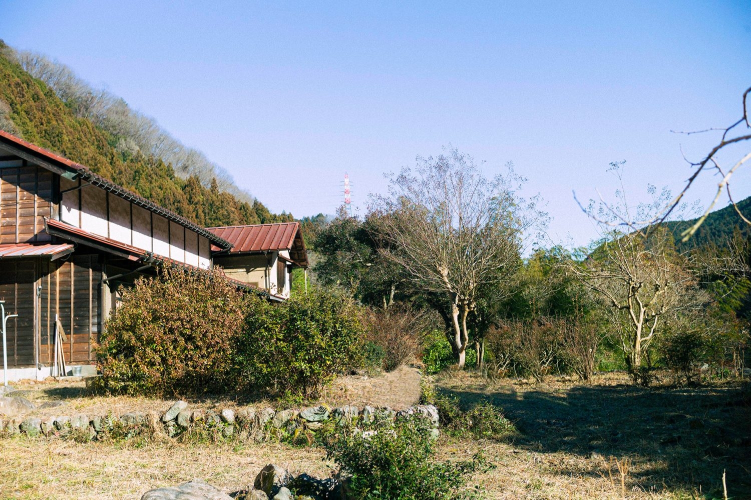 自然に囲まれた広い庭