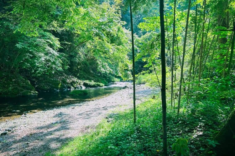 秋川へと続く養沢川 / スタジオから徒歩圏内の位置