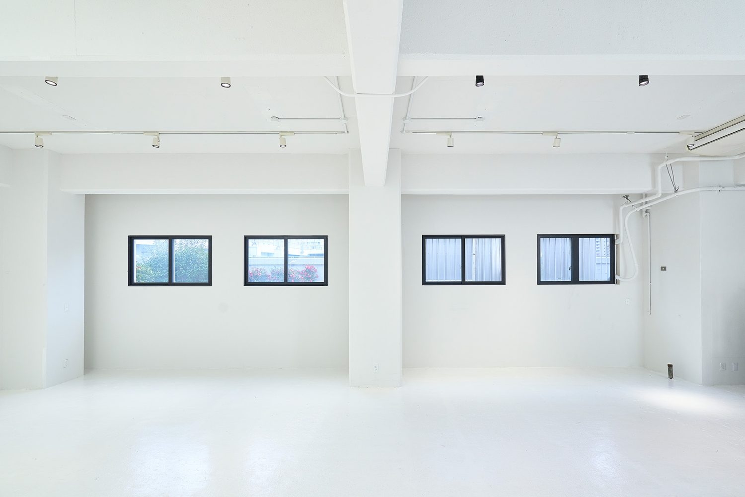 南側窓からも入る自然光