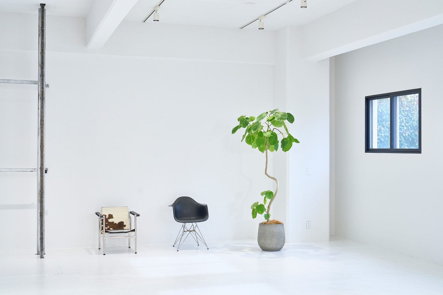 厳選されたプロップ