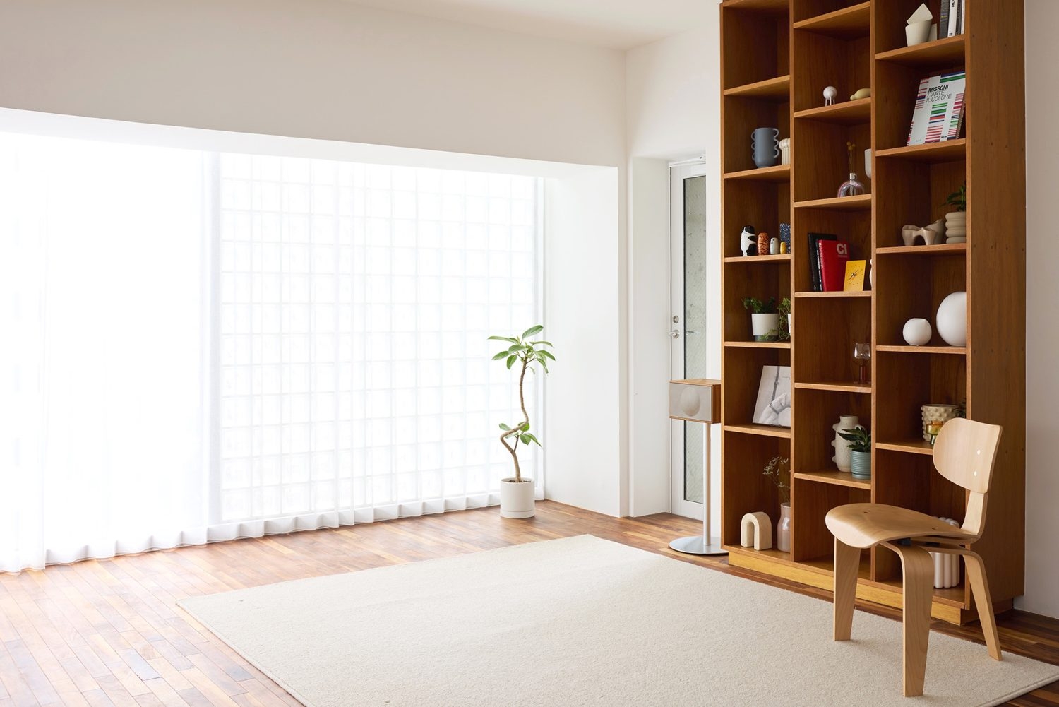 南側は一面が大きな窓