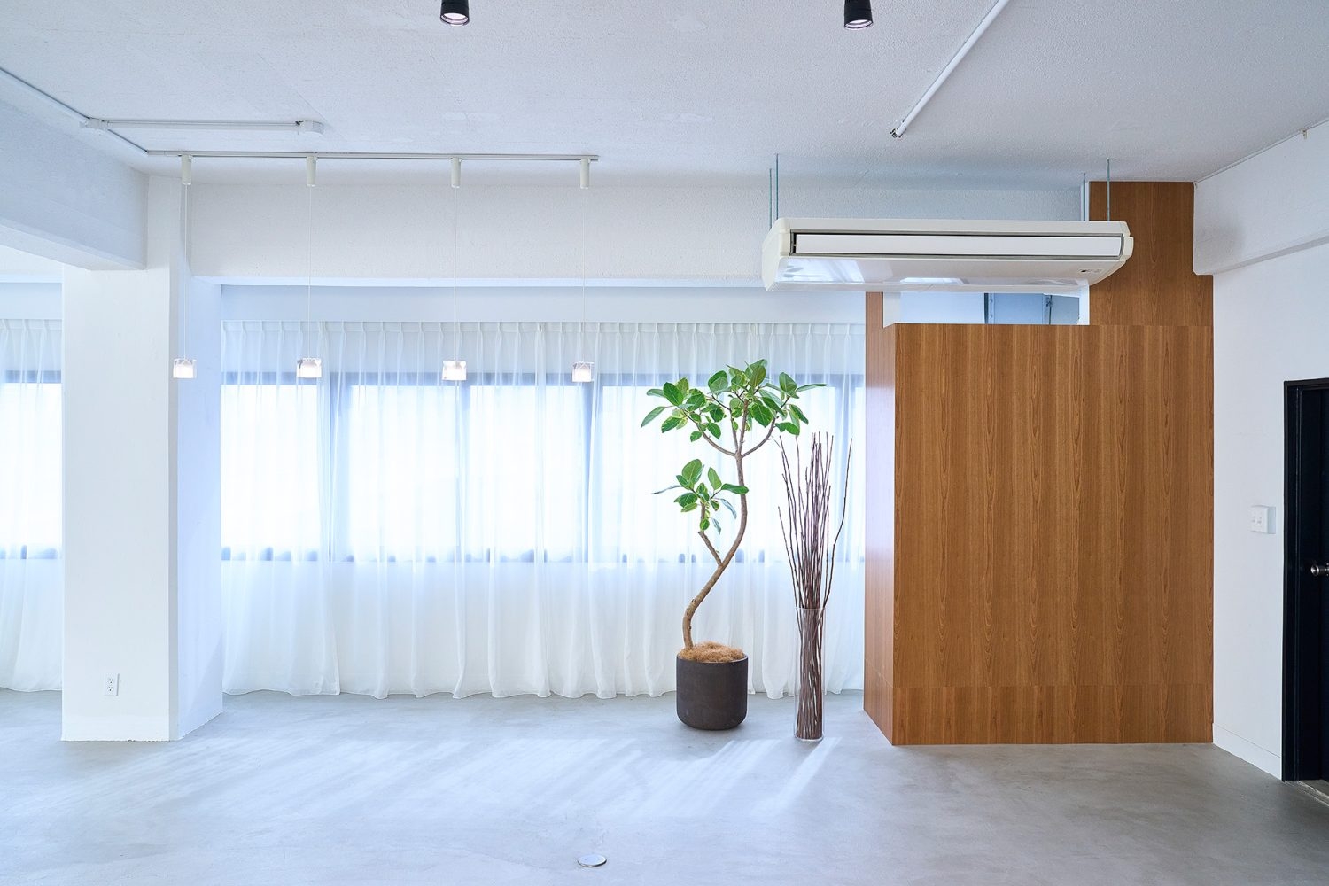 ミニマルな空間に入るやわらかな自然光