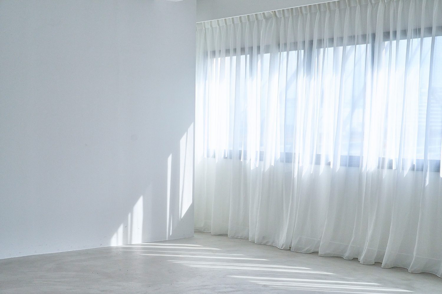 南側から差し込む光