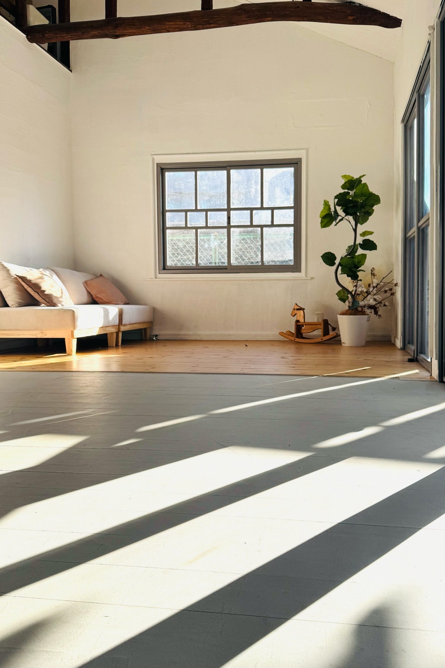 天高を活かした撮影も