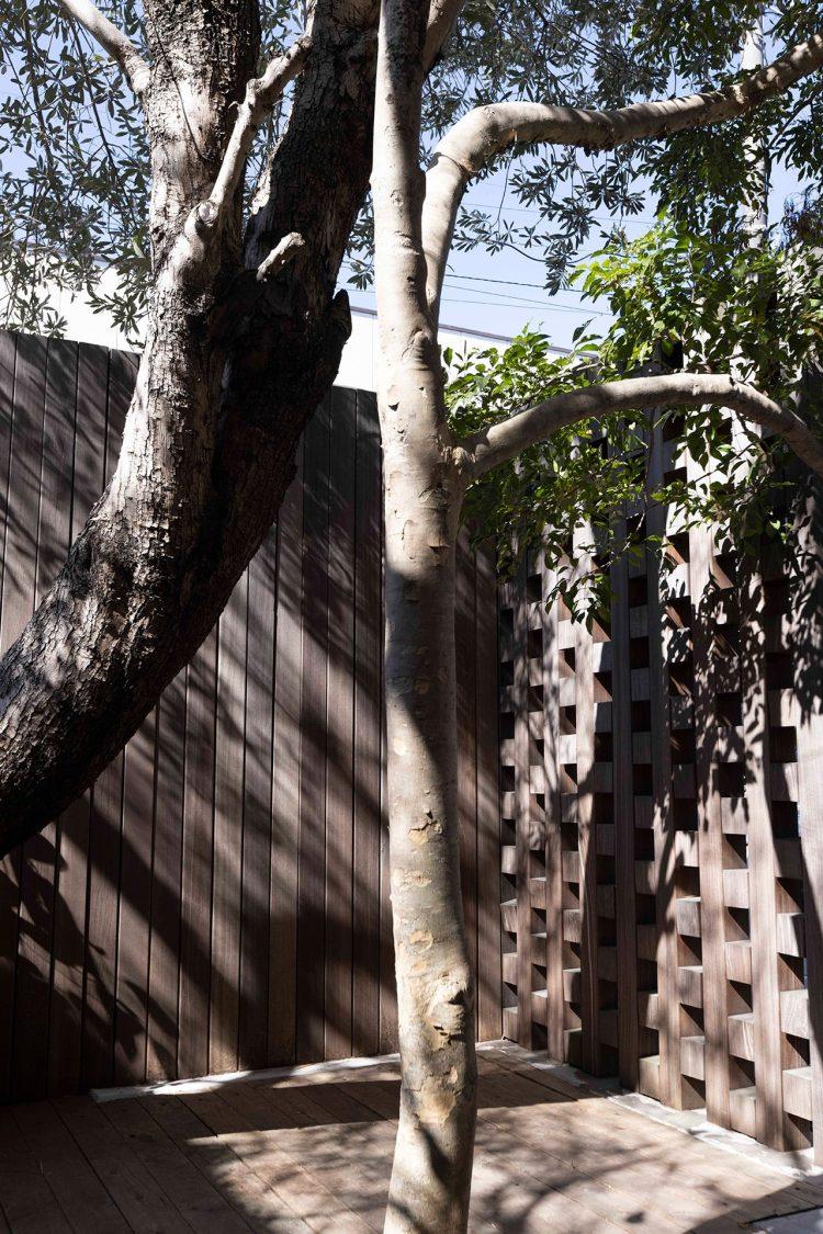 ウッドデッキのオリーブの木