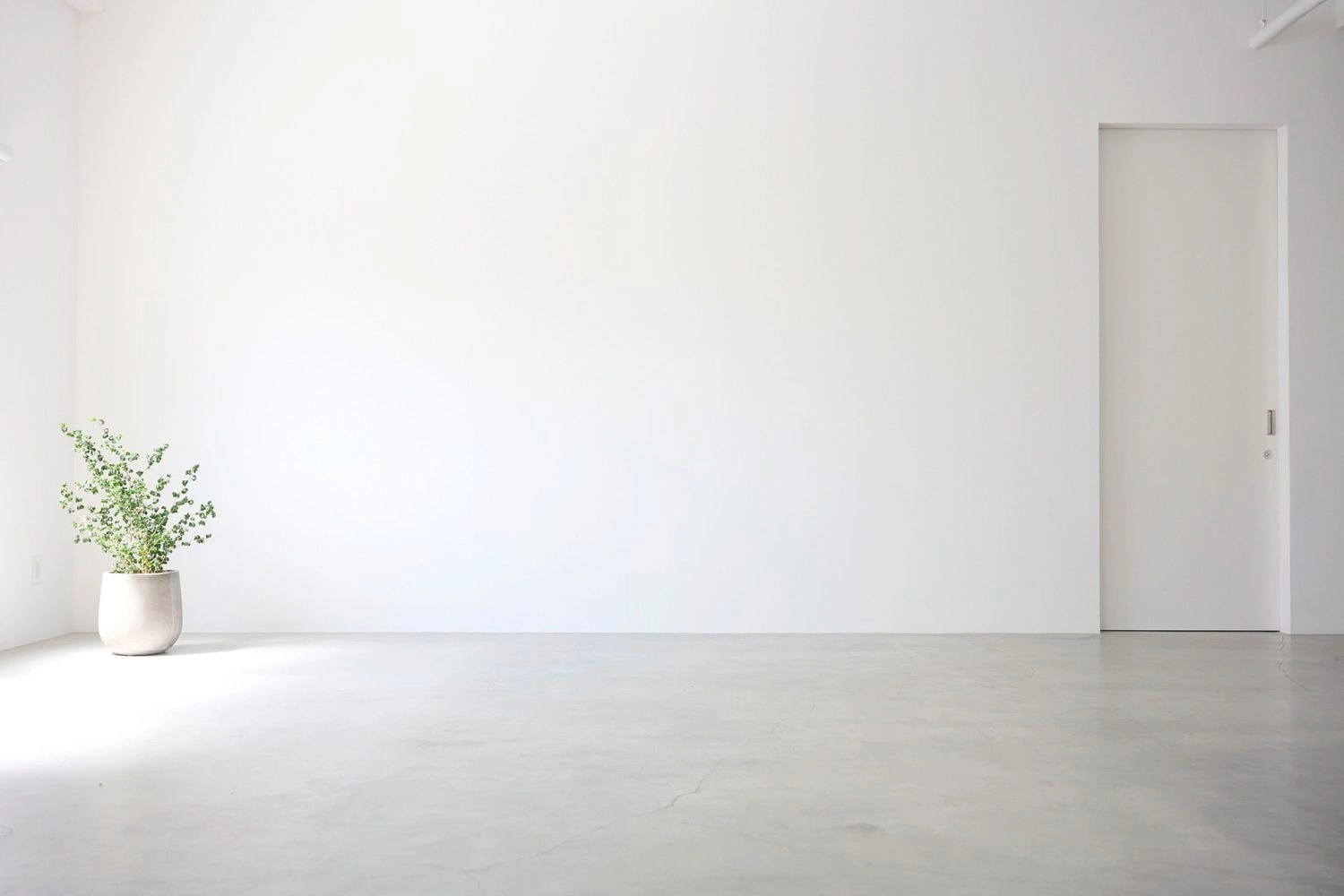 白壁とモルタル床