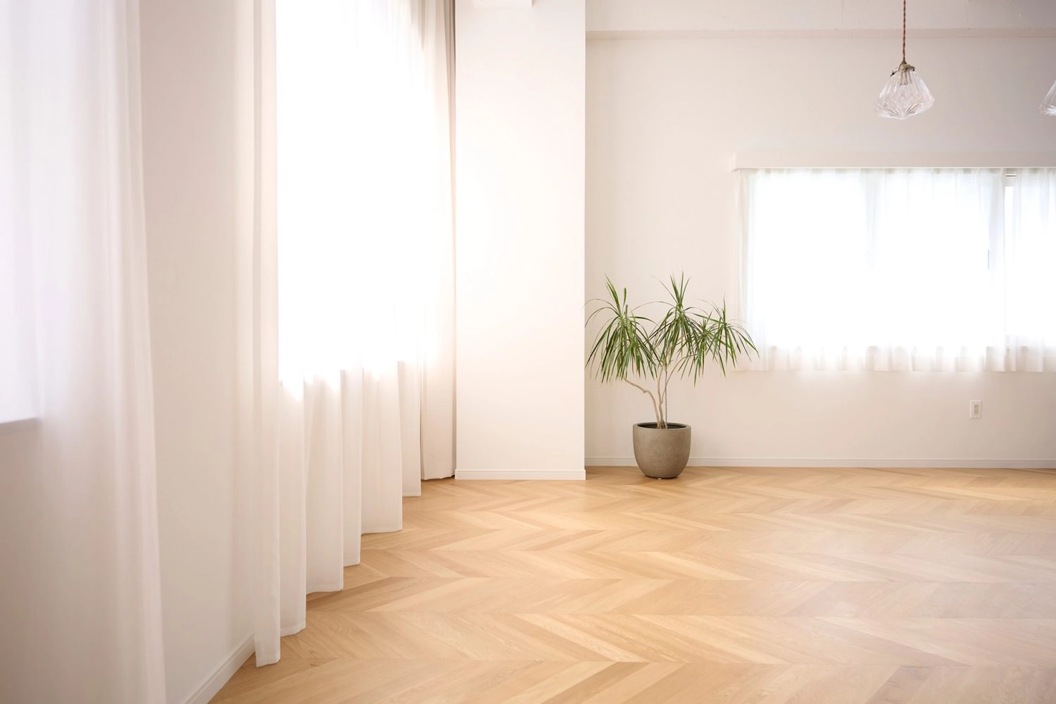 カーテンから入るやわらかな光