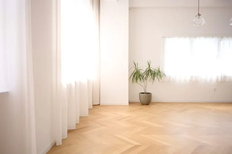 カーテンから入るやわらかな光