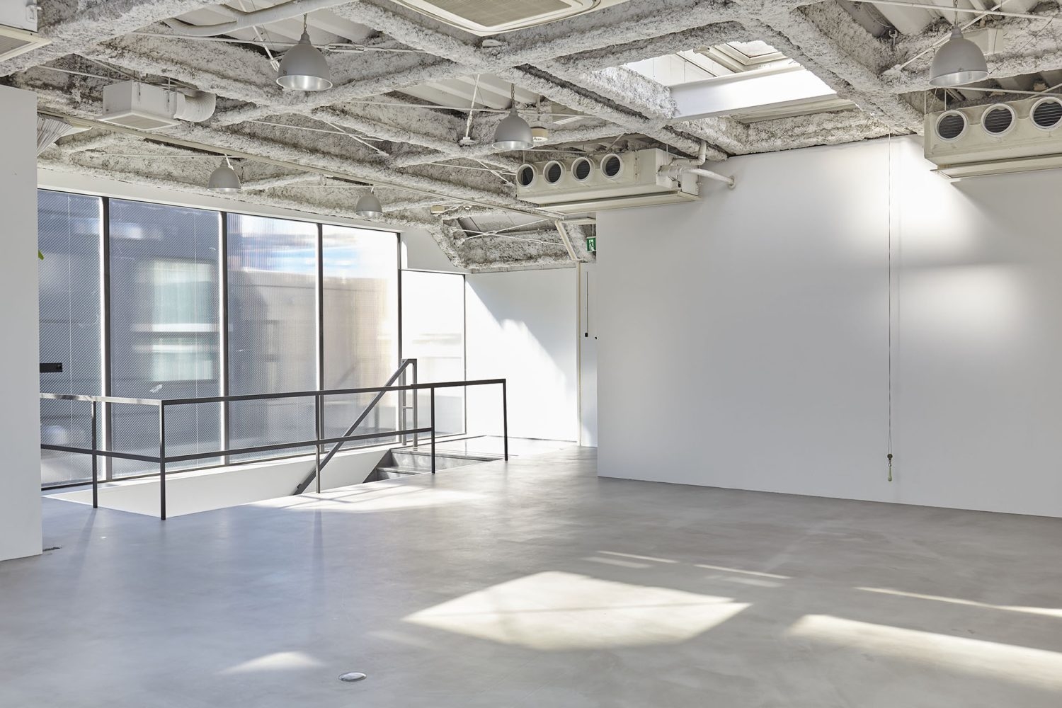 北面 / 西側L字窓とトップライトで採光確保