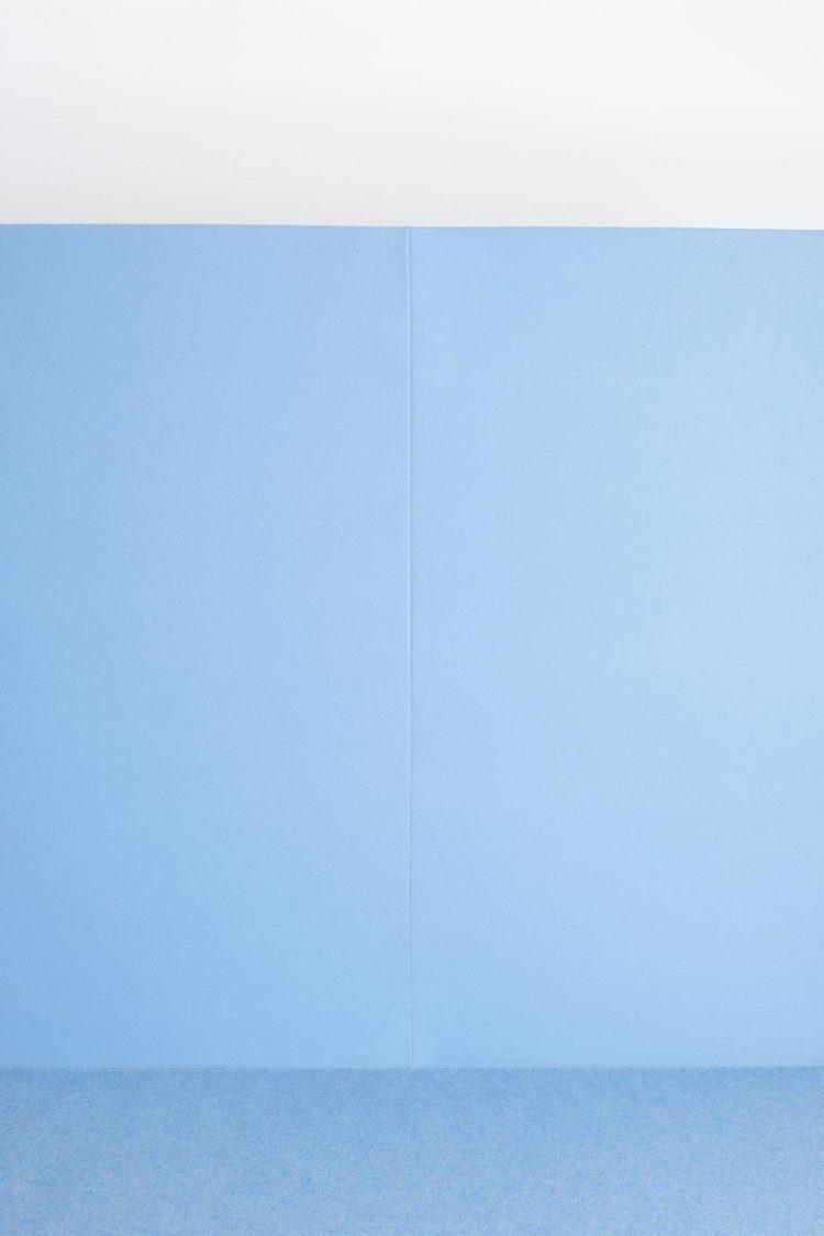 無料フェルトパネル+カラーカーペット