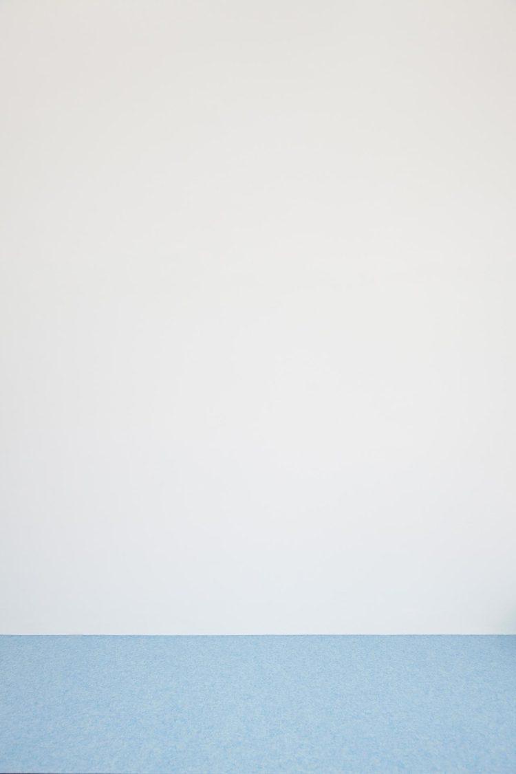 無料白壁+カラーカーペット