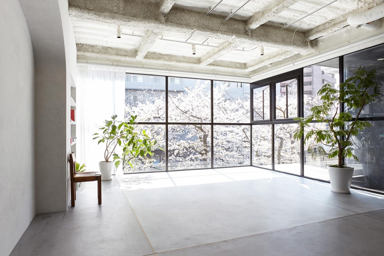 正面が目黒川沿いの桜並木