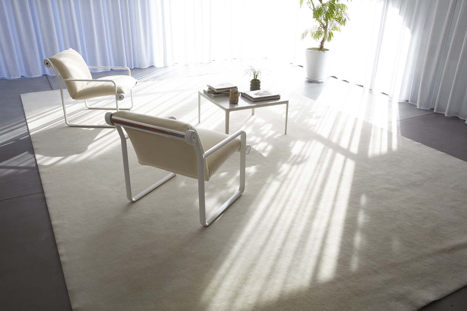 大小のラグも揃う