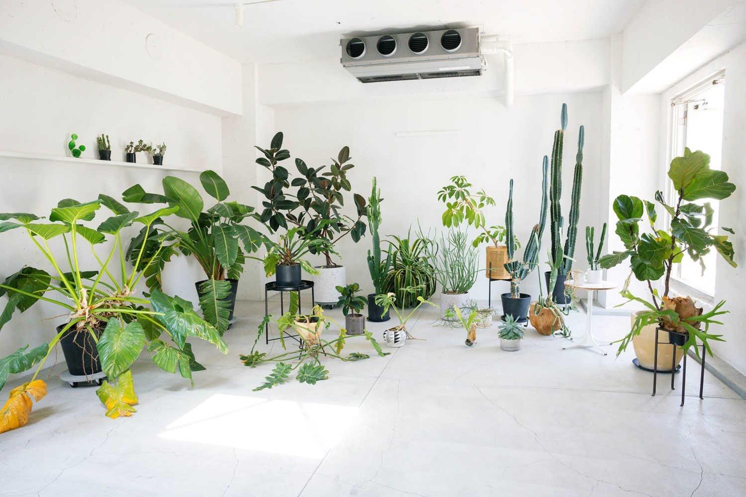 グリーンも豊富