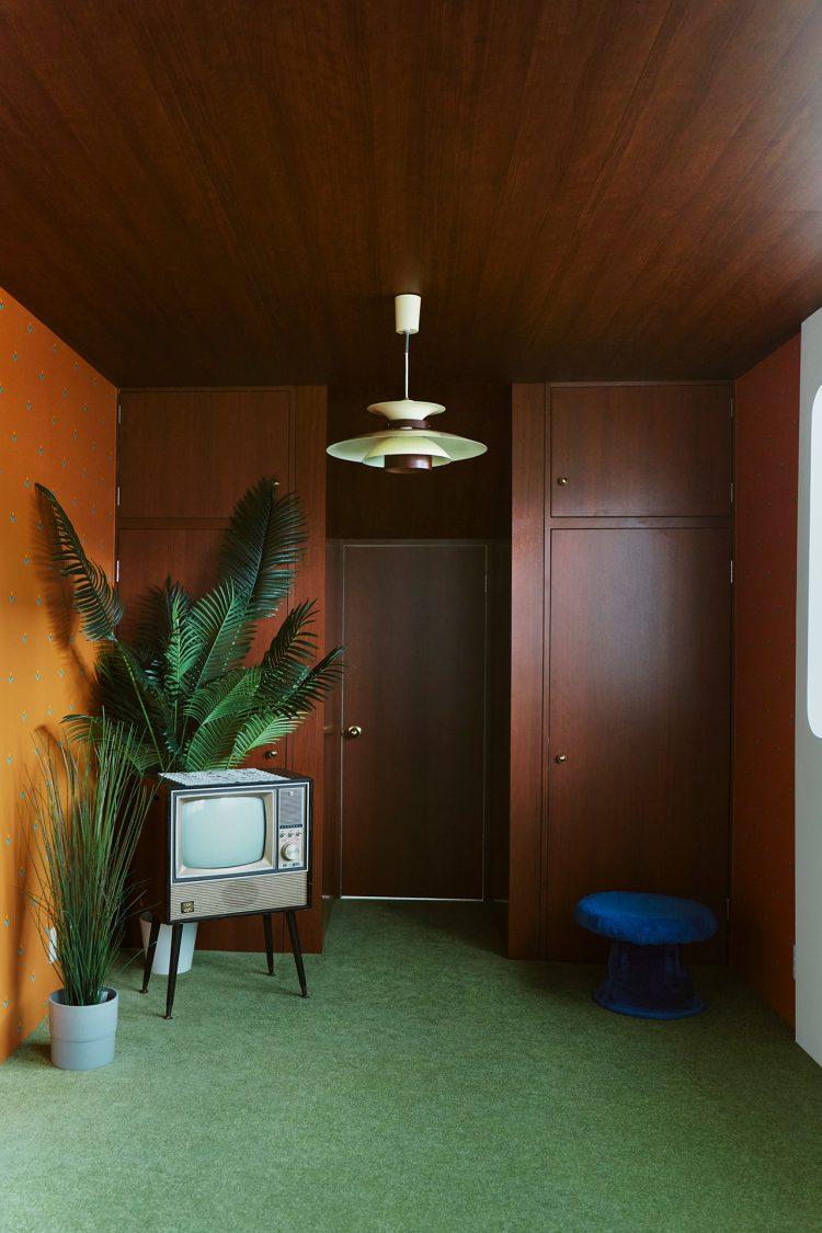 2F 大型植物とレトロなテレビ