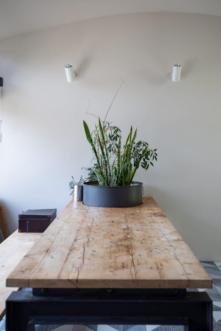 2F アトリエの観葉植物