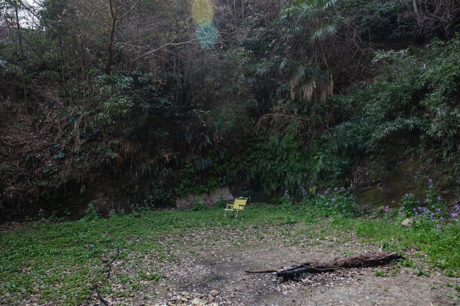 季節によって変化する庭 / 駐車場としても(2025年4月撮影)