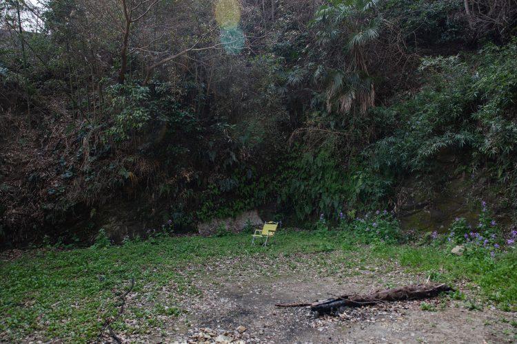 季節によって変化する庭 / 駐車場としても(2025年4月撮影)