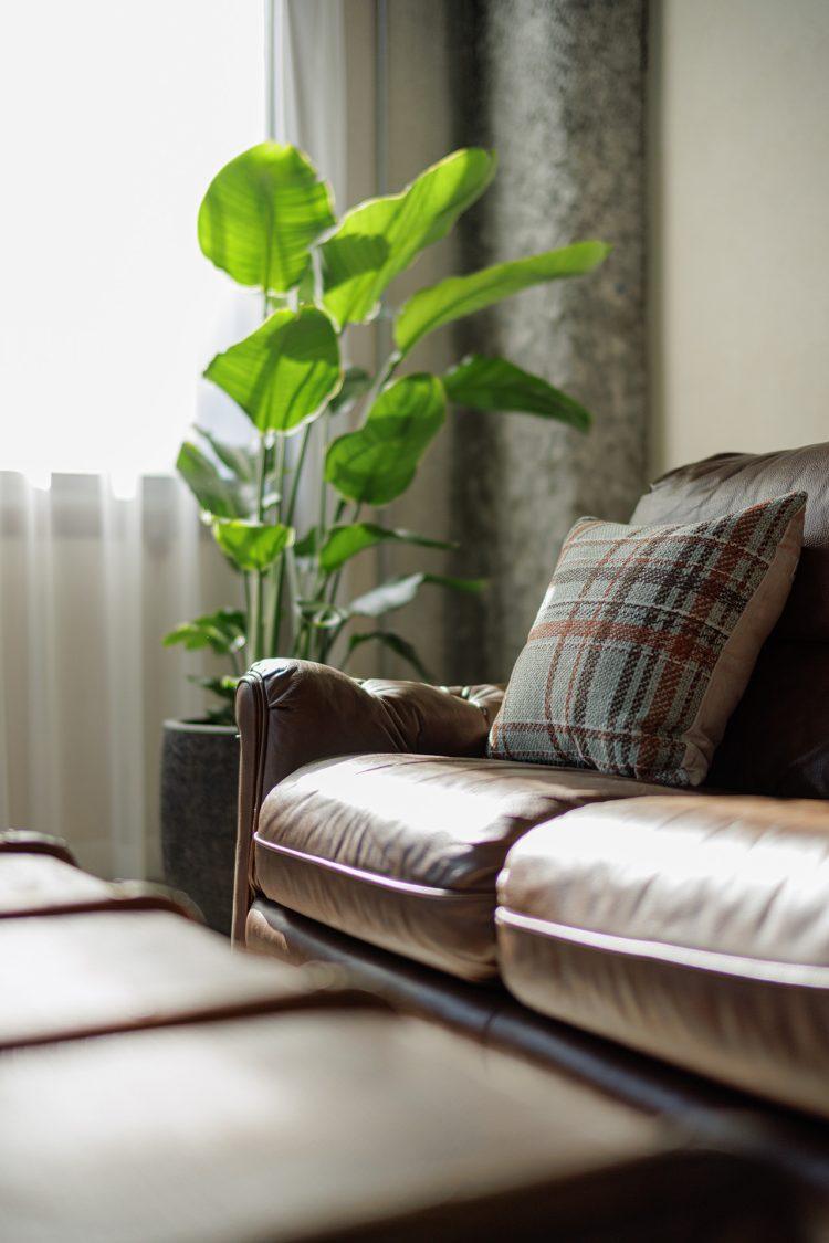 カーテンを閉めるとやわらかな光に